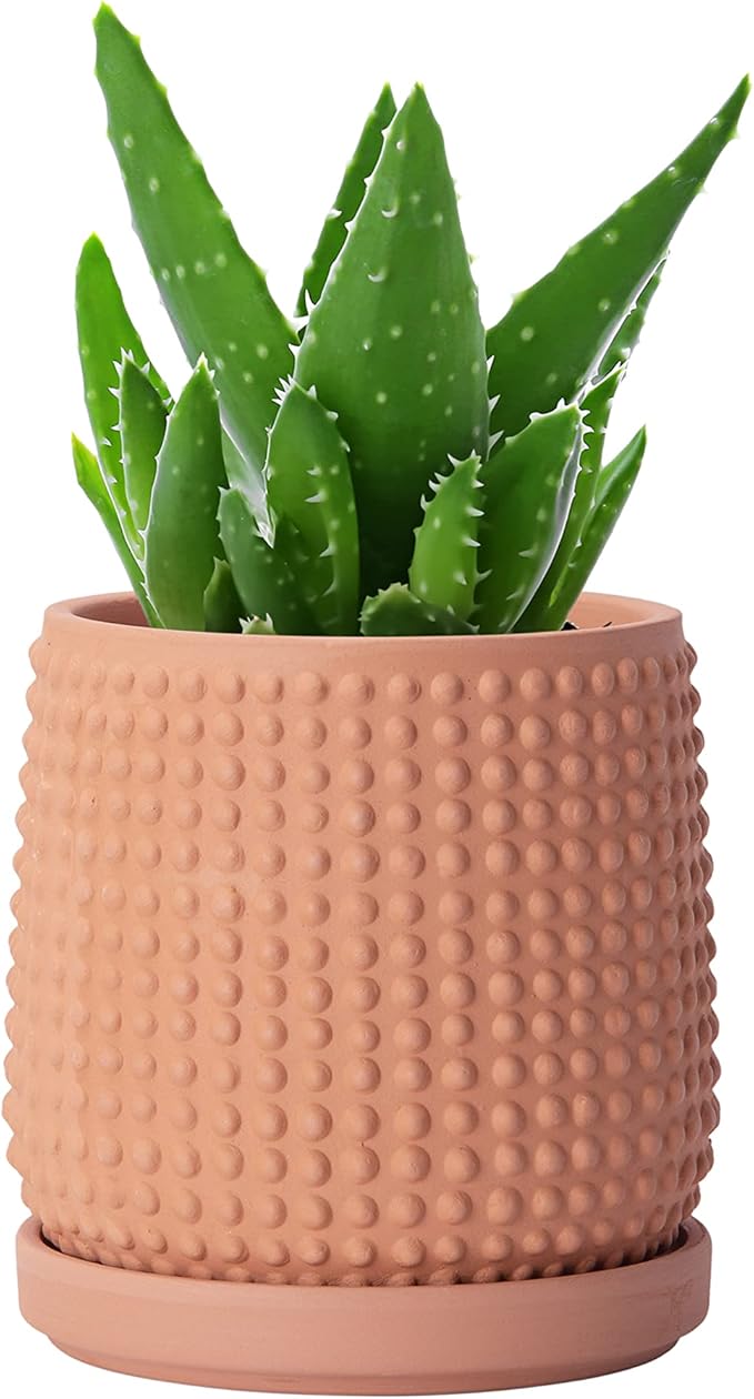D'vine Dev 4 Inch Terracotta Beaded Planter Pot - Flower Pot with Drainage Holes and Saucers for Indoor Succulent Plants or Flowers,Terracotta, 27-C-Z-7