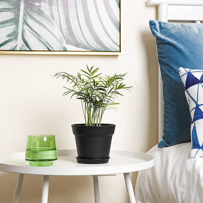 T4U 5 Inch Plastic Planters 18-Pack - Small Plant Pot with Drainage Hole and Saucer, Decorative Nursery Pot Bulk for African Violet, Snake Plant, Aloe and All House Plants Indoor (Black)