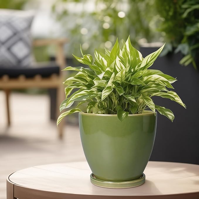 Ceramic Planters for Indoor Plants - 6 Inch Plant Pot with Drainage Hole and Saucer Round Modern Flower Pot Home Garden Patio Decor Green