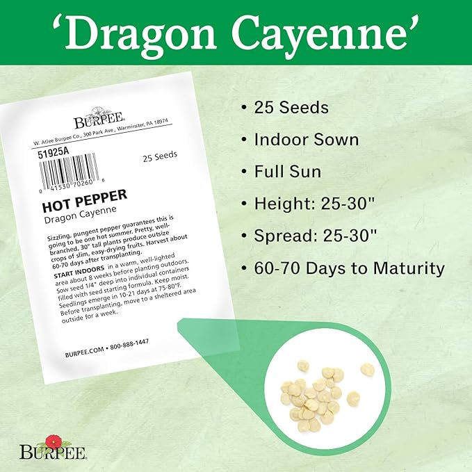 Burpee Dragon Cayenne Hot Pepper Seeds 25 seeds