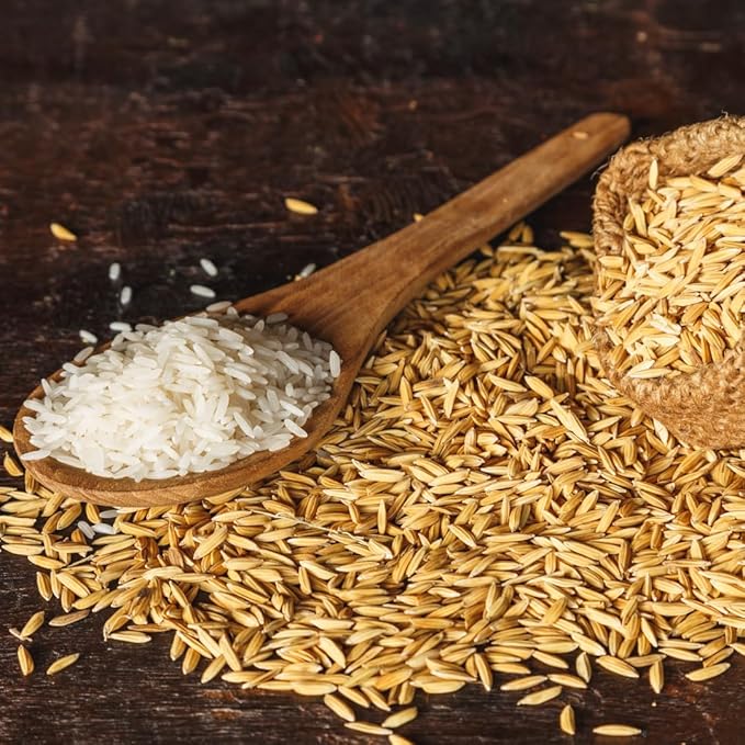 Birch & Meadow Rice Hulls, 2 lb, Gardening, Planters, Substrate