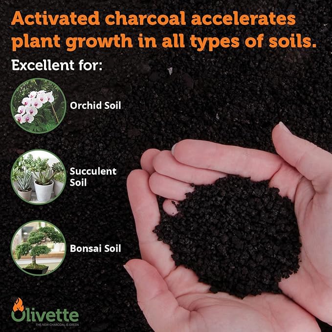 Olivette Horticultural Activated Charcoal for Plants Terrarium Horticulture Moisture Absorbers | Terrarium Supplies | USDA Organic Certified | Made from Recycled Olive Tree Byproducts | 3 Bags