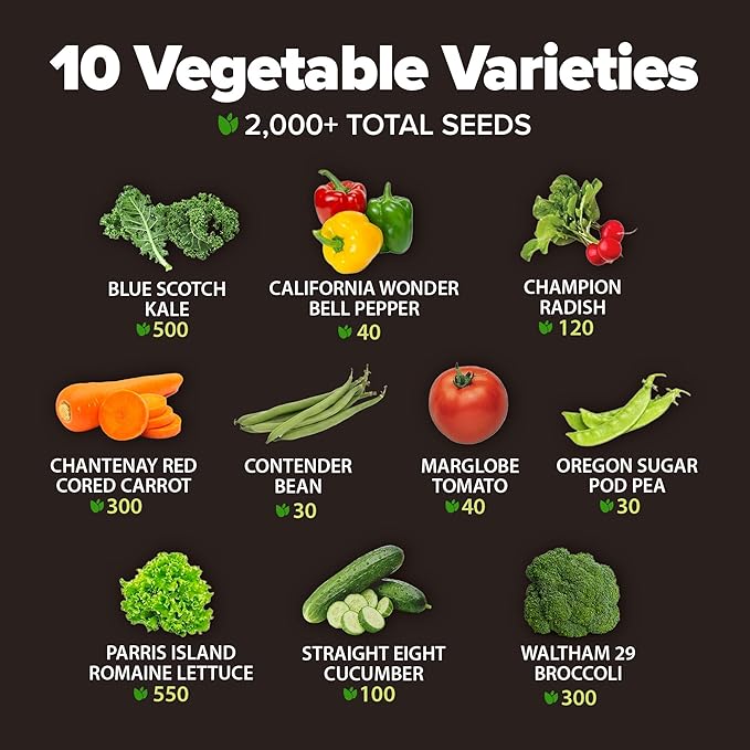 2,000+ Vegetable Seeds for Planting - 10 Heirloom Seeds for Planting Vegetables Indoors or Outdoors: Non-GMO Kale, Lettuce, Tomato, Broccoli, Beans, Peas, Bell Peppers - Home Garden Survival Seeds