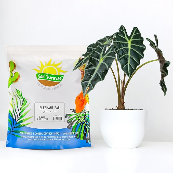 Elephant Ear Potting Soil Mix (8 Quarts), Colocasia and Alocasia Potted Plant Blend