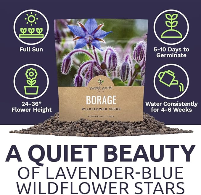 Borage Seeds – Extra Large Packet – Over 1,200 Open Pollinated Non-GMO Wildflower Seeds – Borago officianalis