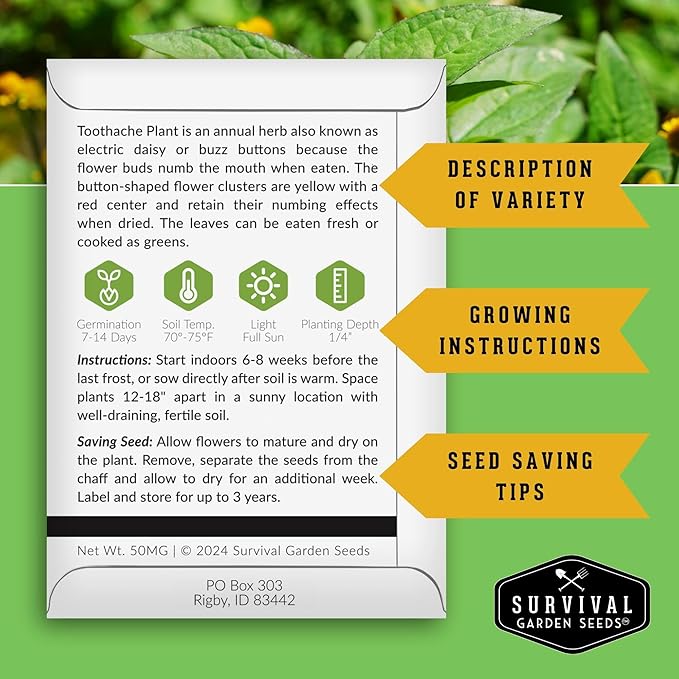 Toothache Plant Seeds for Planting - 3 Packets with Instructions to Plant and Grow Electric Daisy in Your Home Herb Garden - Non-GMO Heirloom Variety - Survival Garden Seeds
