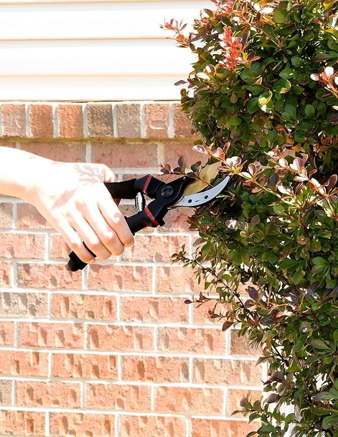 8.5" Titanium Bypass Pruning Shears (T-1008), Garden Clippers, Super Sharp Professional Hand Pruners for Gardening, Heavy Duty Handheld Pruners