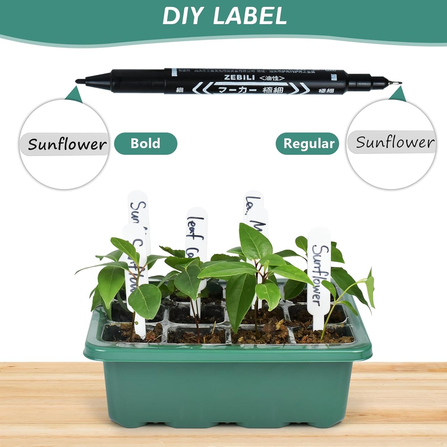 Artcome 5-Pack Seed Starter Tray, 12 Cells Each with Push-Up Ejector - Seed Starter Kit for Rapid Growth and Healthy Seedlings at Home - 60 Cells in Total