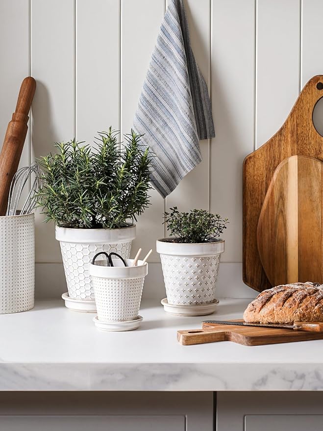 LE TAUCI Ceramic Plant Pots, Cute Succulent Pots with Saucer, 6 Inch Flower Pots with Drainage, for Plant Lover or Mothers Day,Housewarming, Decorative Lovely Planter for Cactus, Set of 4