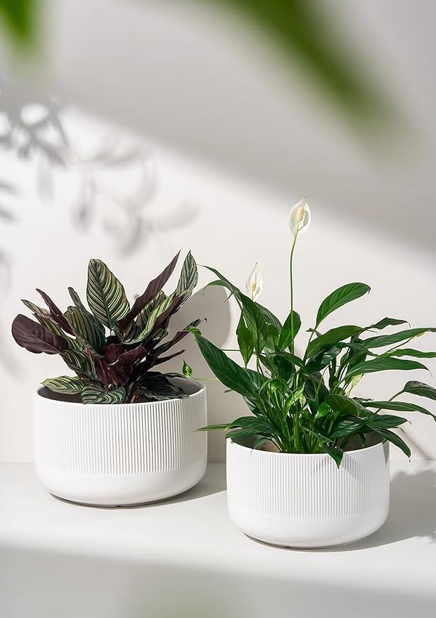 Ceramic Plant Pots, 10+12 Inch Large Planters for Indoor Plants, Modern Flower Pots with Watering Devices, Stylish and Functional,Set of 2, White
