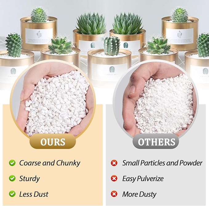 Riare 20 Quarts Organic Perlite for Plants - Horticultural Perlite Soil Amendment for Plants Potting Mix, Natural Chunky Perlite Soil Additive Conditioner Improve Root Growth, Drainage and Ventilation
