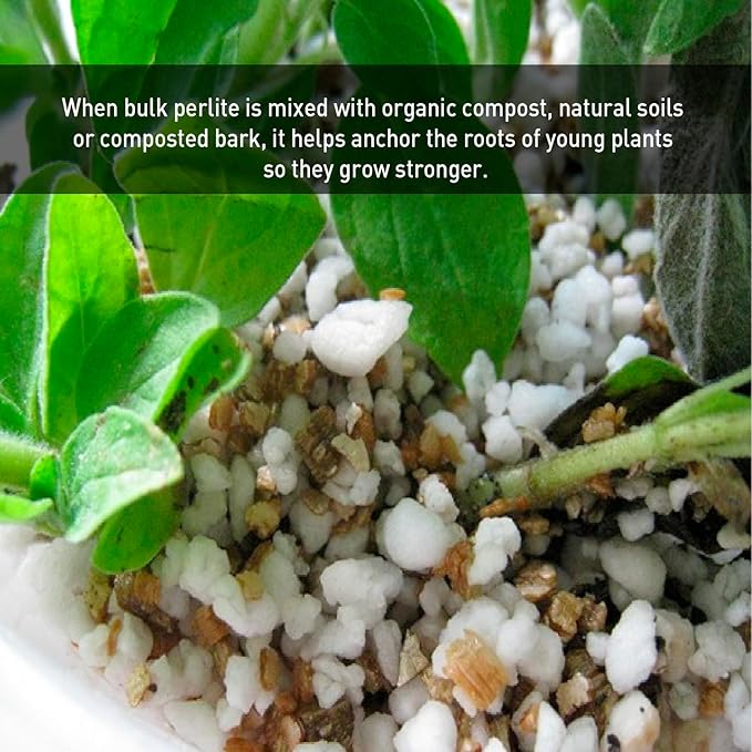 Norcal Perlite Horticultural Perlite Organic Certified Premium Screened Coarse – Garden Indoor Outdoor Plants – Soil Additive Better Aeration and Drainage - 2 Cubic Feet (62 Quarts) 1 Bag