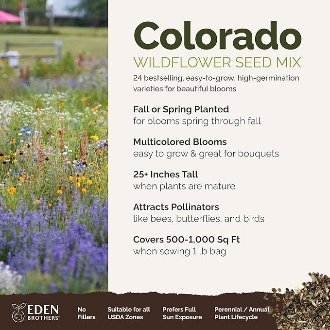 Eden Brothers Colorado Wildflower Mixed Seeds for Planting, 1 lb, 480,000+ Seeds with Cornflower, Lupine | Attracts Pollinators, Plant in Spring or Fall, Zones
