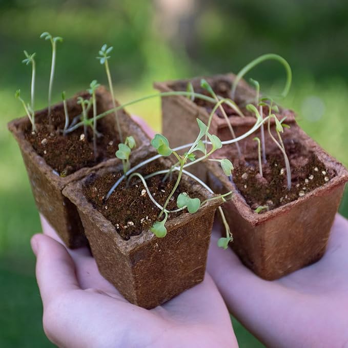 Seed Starting Soil Mix 4qt, Seed Starter Seedling Soil Ready to Use Suitable for Vegetable, Flower, Houseplant and Bonsai