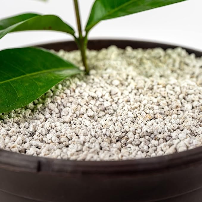 Organic Perlite — Medium/Fine Grade Horticultural Soil Amendment for Indoor & Outdoor Container Plants for Drainage Management and Enhanced Growth (2 Quart)