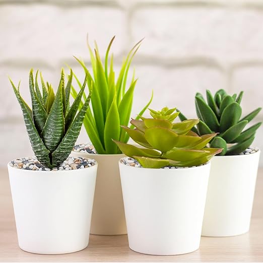 2.5 lbs Pebbles for Indoor Plants, 1/5 Inch Natural Decorative Gravel for Vases, Aquariums, Terrarium, Fish Tank, Drainage Rocks for Potted Plants, Bamboo, Succulent, Crafts, Cactus