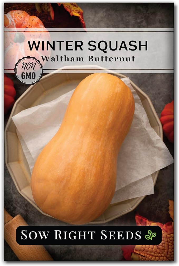Sow Right Seeds - Winter Squash Seed Collection for Planting - Spaghetti, Waltham Butternut and Acorn Table Queen Squash Seeds, Non-GMO Heirloom Seeds to Plant a Home Vegetable Garden