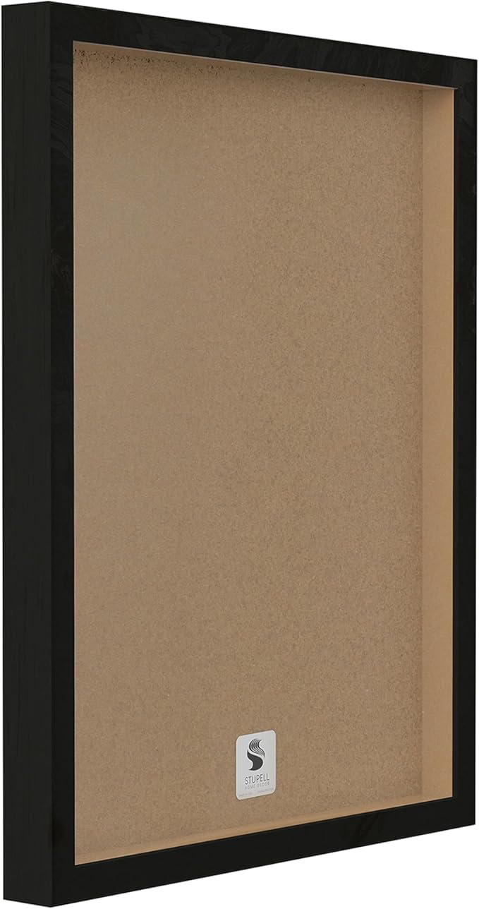 Stupell Industries Botanical Plant Illustration Seeds Vintage Design Black Framed Wall Art, Multi-Color, 16 x 20