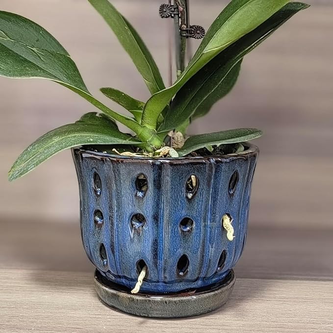6 inch Round Ceramic Orchid Pot with Holes Orchid Planter (Dark Blue)