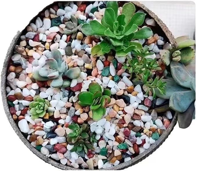 2LB Succulent and Cactus Gravel Pebbles, 1/4 Inch - 1/3 Inch Natural Decorative Polished Stones, River Rocks for Plants, Aquariums, Vases, Terrarium and Outdoor Gardening, 5 Mixed Colors
