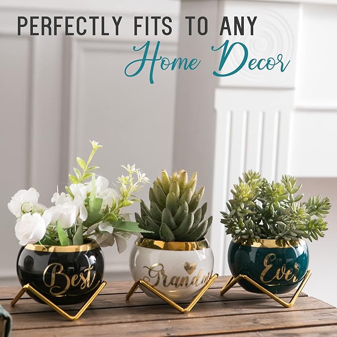 PeraBella Grandma Gifts, Gifts for Grandma Birthday Gifts, Thoughtful Gifts for Grandma, Grandmother Gifts Ideas - 3 Succulent Pots