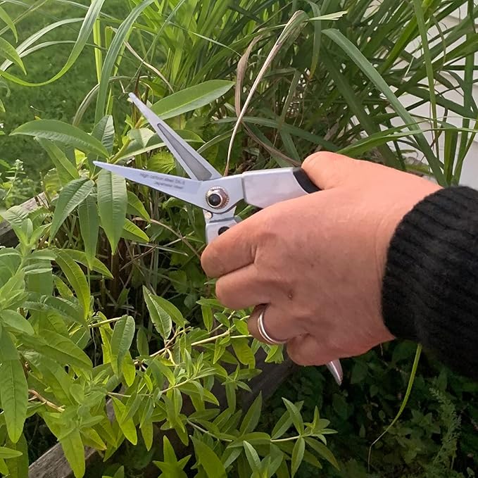 Kings County Tools Flower and Fruit Pruner | 2-1/2" Thin Sharp Blades | Precision Pruning and Cutting | Spring-Loaded Snap Catch