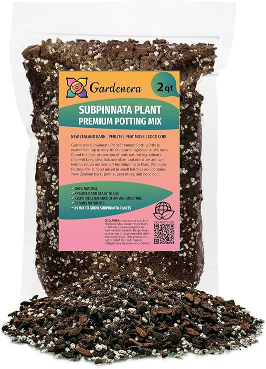 Monstera Subpinnata Soil Mix - Specially Formulated for Strong Root Development - 2 Quart