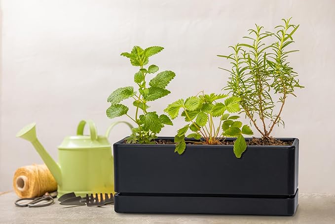 D'vine Dev 12 Inch Window Box Planter, Rectangle Plastic Herb Planter with Drainage Holes and Saucer, Indoor Succulent Cactus Vegetable Pot for Windowsill, Garden Balcony, Black, Set of 2, 76-X-B-2