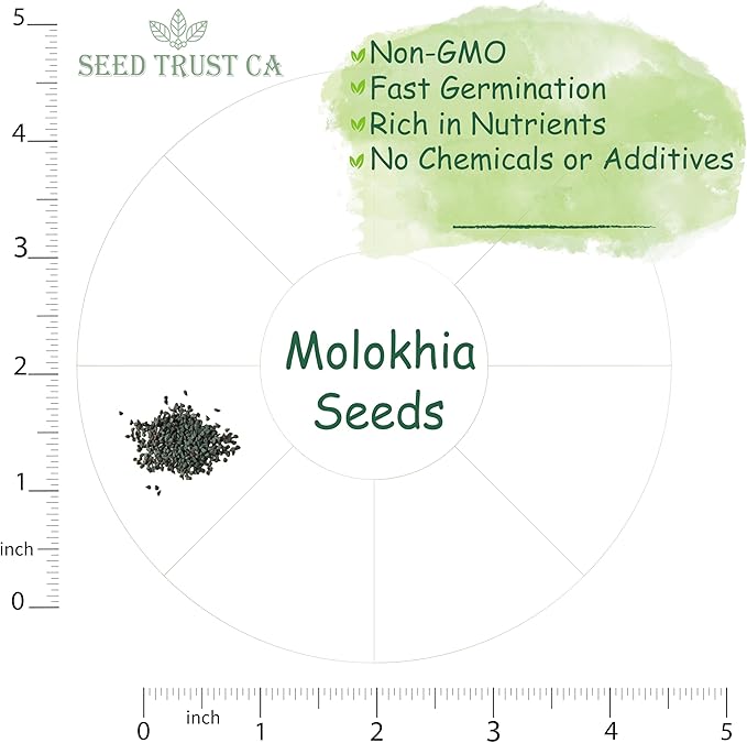 Egyptian Spinach (Molokhia) Seeds – 3000+ Non-GMO, High-Yielding Saluyot Vegetable Seeds for Planting – High Germination Rate, Heirloom Variety – USA (Molokhia)