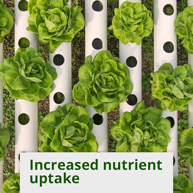 Humboldts Secret Plant Enzymes – Best Plant and Root Enzymes – 7000 Active Units of Enzyme per Milliliter – Quality Plant Food and Plant Fertilizer – Highly Concentrated – 16 Ounce