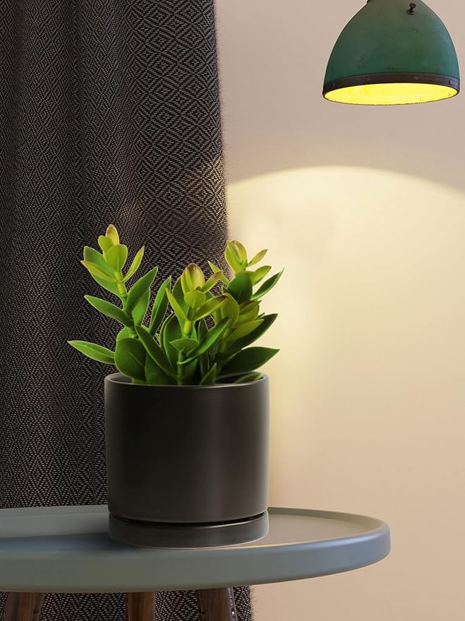 Aveyas 6 inch Ceramic Plant Pot with Drainage Hole and Saucer - Suitable for Indoor and Outdoor Use, Modern Planters for House Garden Orchid Flower Snake Monstera Plants (6", Matte Black)