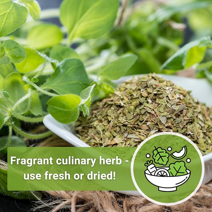 Sow Right Seeds - Oregano Seed for Planting - Non-GMO Heirloom- Instructions to Plant and Grow a Kitchen Herb Garden - Indoor or Outdoor - Gardening Gift - Produces Flavorful Leaves for Seasoning (2)