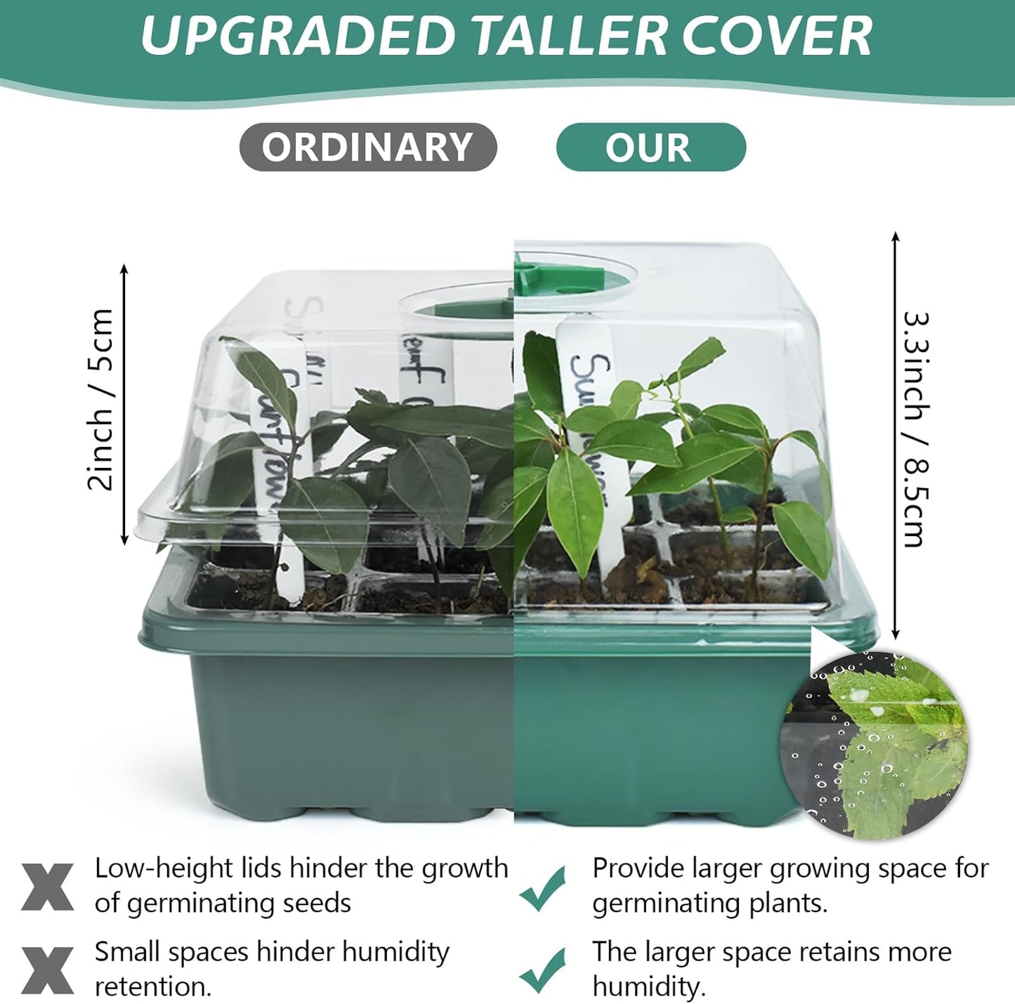 Artcome 5-Pack Seed Starter Tray, 12 Cells Each with Push-Up Ejector - Seed Starter Kit for Rapid Growth and Healthy Seedlings at Home - 60 Cells in Total