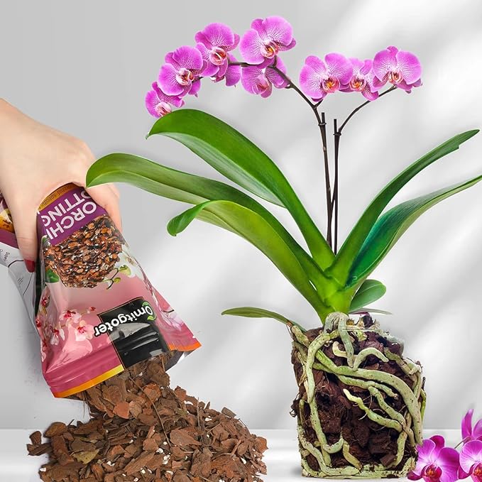 Orchid Potting Mix 4qt, Premium Orchid Soil Medium for Potting, Repotting, Enhanced Drainage, Air Flow & Root Ventilation