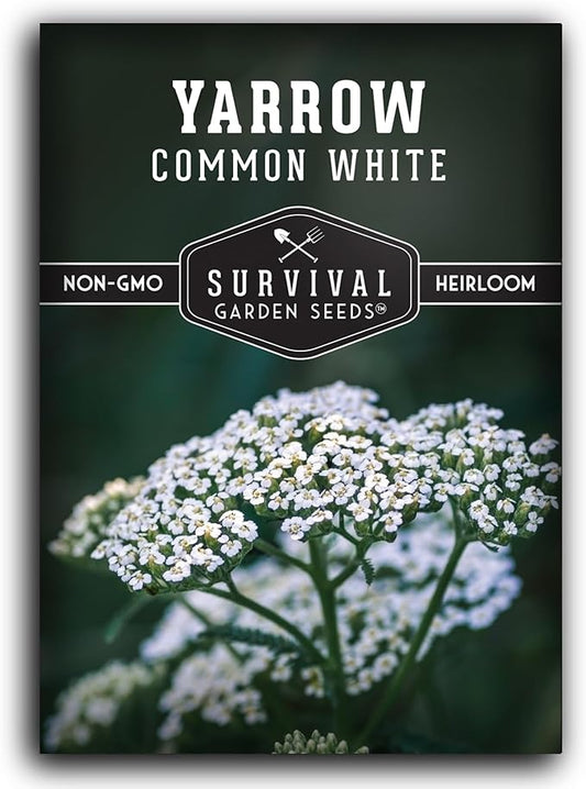Survival Garden Seeds White Yarrow Seeds for Planting - 1 Packet with Instructions to Plant & Grow Beneficial Flowering Herbs in Your Home Vegetable Garden - Non-GMO Heirloom Variety