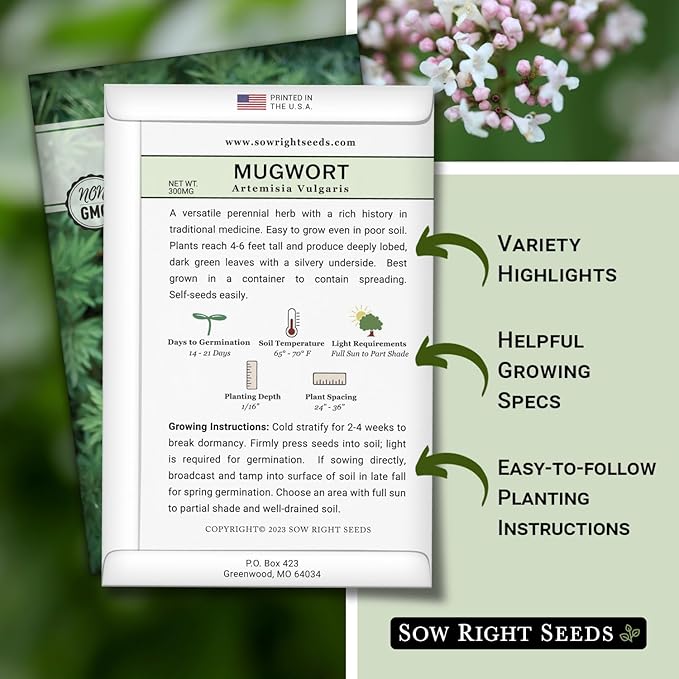 Sow Right Seeds - Mugwort Seeds for Planting - Non-GMO Heirloom Packet with Instructions to Plant an Outdoor or Indoor Herb Garden - Rare Perennial, Wild Wormwood - Medicinal & Culinary Cronewort (2)