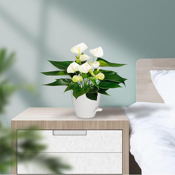 Plant Pots, 7/6.5/6/5.5/5 Inch Self Watering Planters, Pots for Indoor Plants with Drainage Hole for Succulents, African Violet (Matte White)