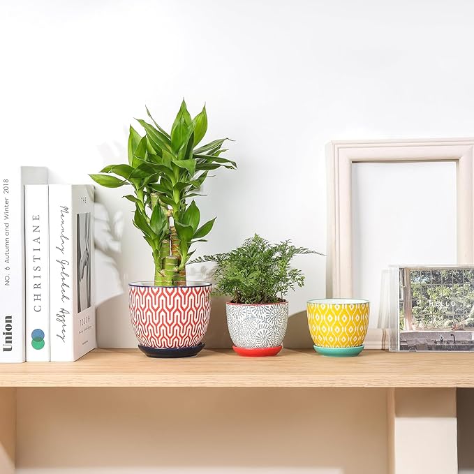 Selamica Ceramic Succulent Pots with Drainage Holes, Small Flower Pots 3.5 Inch Plant Pots for Indoor Plants with Saucers, Cactus Succulent, Home Decor, Set of 4, Assorted Colors