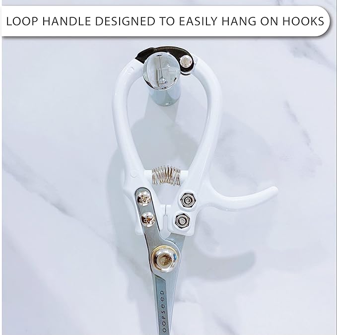 Plant Pruning Shears Garden Trimming Scissors Precision Hand Pruner Herb Snips Flower Clippers Bonsai Trimmers Straight Sharp Blade Tapered Tip Ergonomic Handle Modern Garden Tools