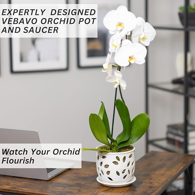Orchid Pot with Holes & Saucer Ceramic 6.5 in. Indoor or Outdoor Large Pot for Orchid Care & Root Health with Precise Aeration & Drainage – Durable for Repotting or New Plants