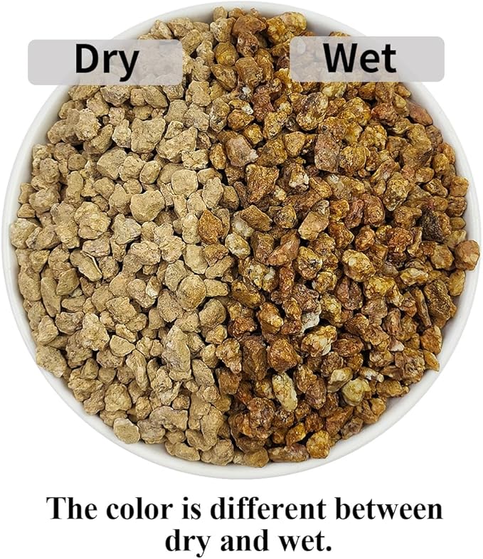 Succulent and Cactus Maifanitum Stones Garden Accessorie Rocks Pumice for Indoor Plants, Bonsai, Fairy Gardening, Vases Fillers, Terrarium, 2lb