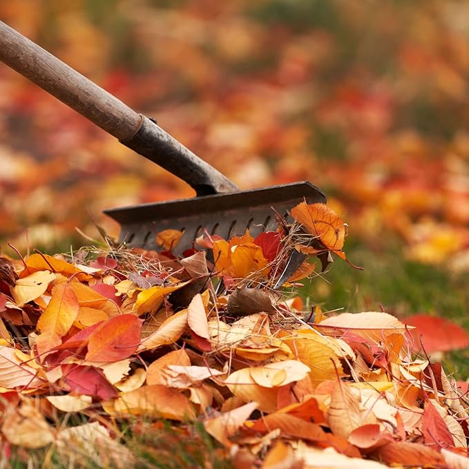 uxcell 5 Teeth Garden Rake Head, Galvanized Manganese Steel Stone Rake for Garden Farm Backyard Without Handle Hard Rake Head Only, Silver Tone