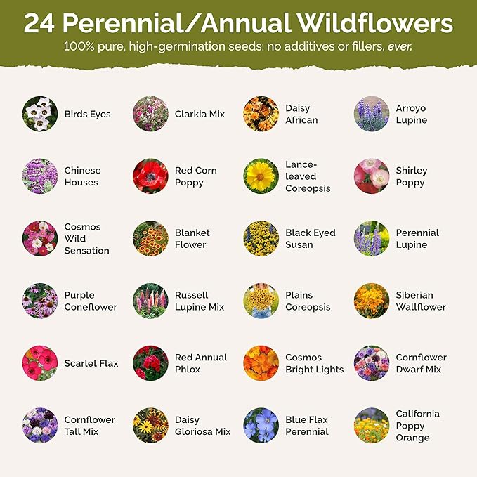 Eden Brothers Colorado Wildflower Mixed Seeds for Planting, 1/4 lb, 120,000+ Seeds with Cornflower, Lupine | Attracts Pollinators, Plant in Spring or Fall, Zones