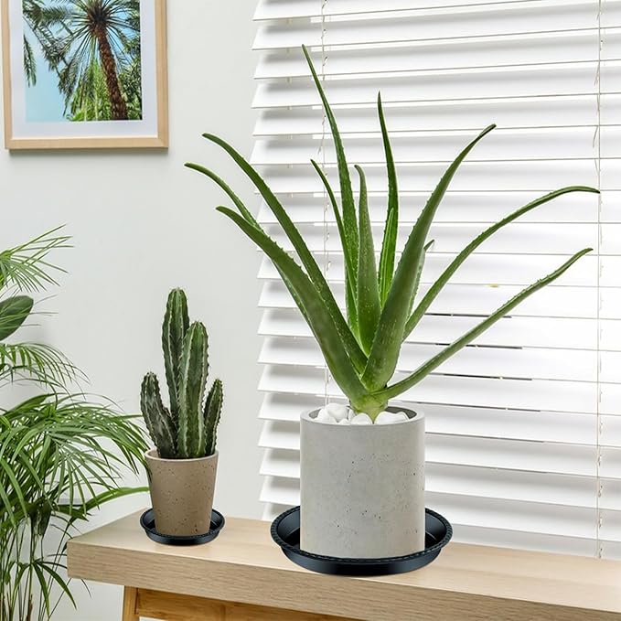 9 Packs Plant Saucers (8 inch /10 inch /12 inch) inch Plastic Plant Trays Thicker Sturdier Plant Pot Saucers Stronger Flower Pot Tray for Indoor Outdoor-Black