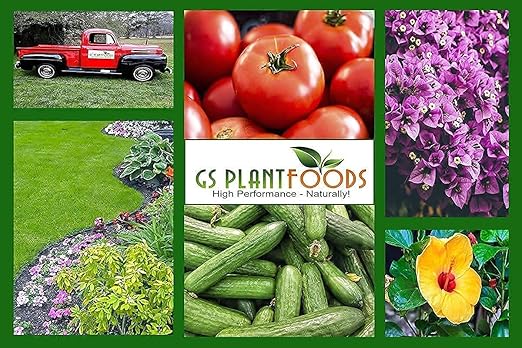 GS Plant Foods Organic Liquid Fish 36 oz Hydrolyzed Fish Fertilizer for Plants- Liquid Fertilizer for Vegetables, Trees, Lawns, Shrubs, Flowers, Seeds & Plants - 1 Quart