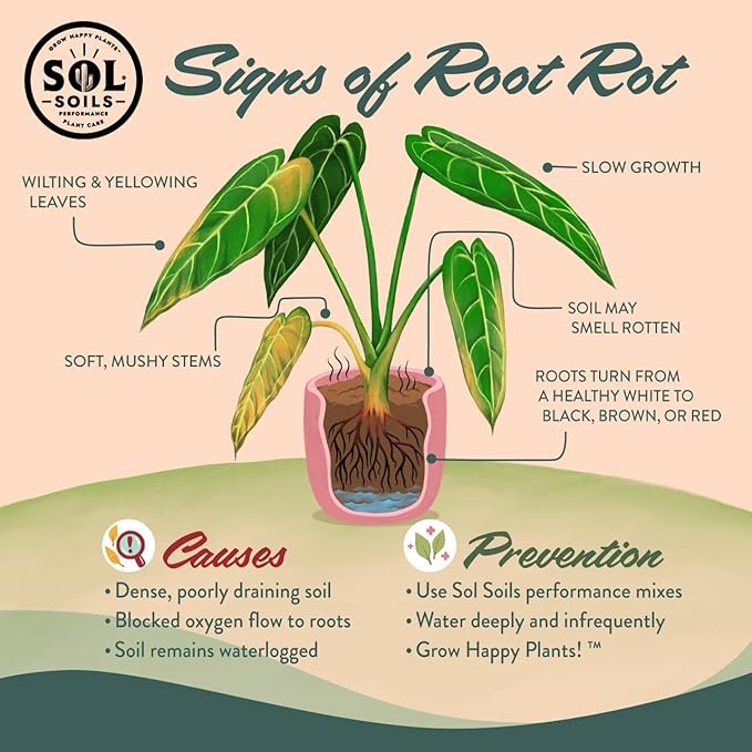 Sol Soils Chunky Houseplant Mix - Fast Draining Soil for Indoor Plants with Coco Coir Chips, Perlite, & Pumice, 2 Quart
