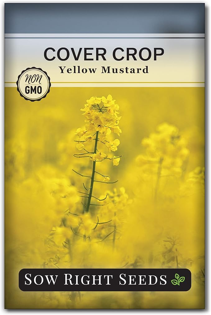 Sow Right Seeds - Yellow Mustard Seed for Planting - Cover Crops to Plant in Your Home Garden - Enriches Soil - Suppresses Weeds - Cold Hardy - Non-GMO Heirloom Seeds - Great Gardening Gift (1)