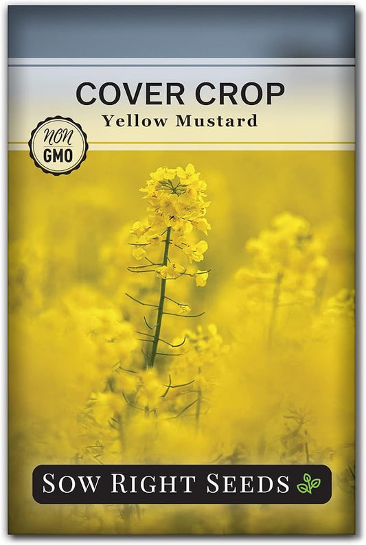 Sow Right Seeds - Yellow Mustard Seed for Planting - Cover Crops to Plant in Your Home Garden - Enriches Soil - Suppresses Weeds - Cold Hardy - Non-GMO Heirloom Seeds - Great Gardening Gift (1)