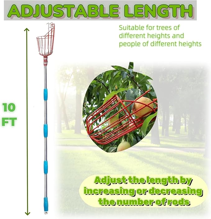 Adjustable Fruit Picker with Telescoping Handle and Basket, 10ft - Ideal for Apple, Orange, Avocado, Lemon, Pear, and Mango Harvesting