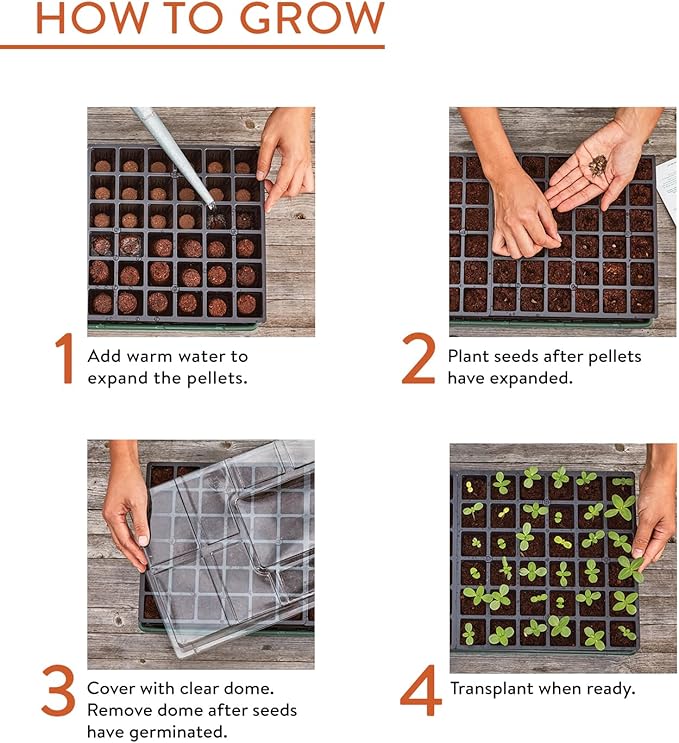 Burpee Greenhouse Indoor Starting Herbs, Flowers and Vegetables | Includes Dome, Watering, Seed Starter Tray, Coir Pellets | 10" W x 20" L x 5" H, One Size, 1 Kit (72 Cells)